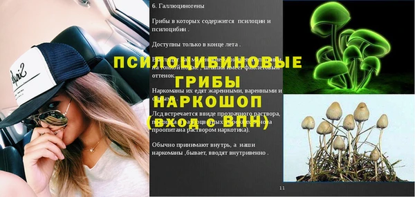 прущий лед Алексин
