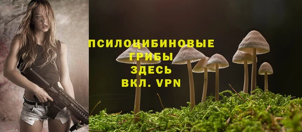 прущий лед Алексин