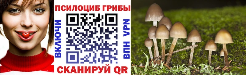 hydra ссылки  Грязи  Галлюциногенные грибы прущие грибы 